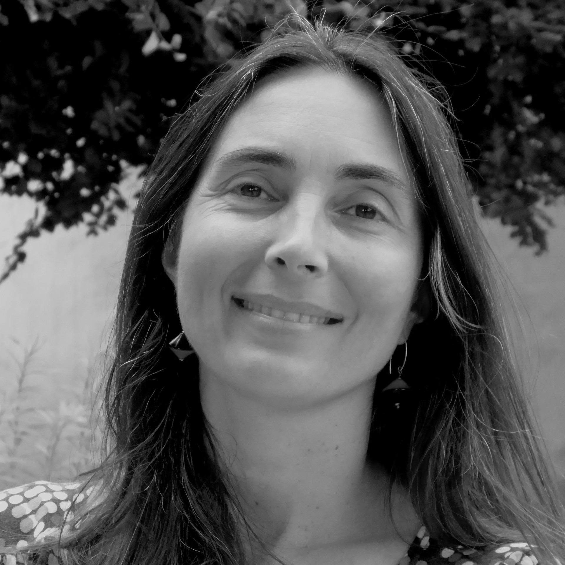 Geneviève Pruvost Le Passager Clandestin