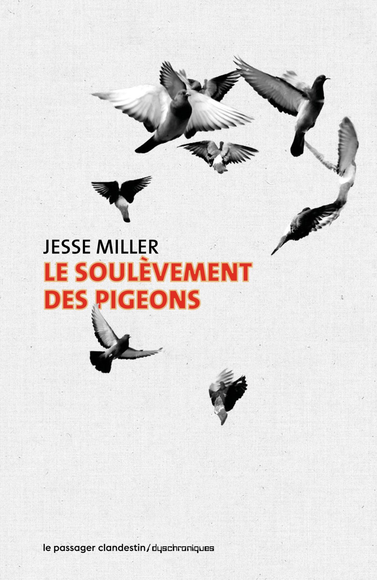 Le soulèvement des pigeons